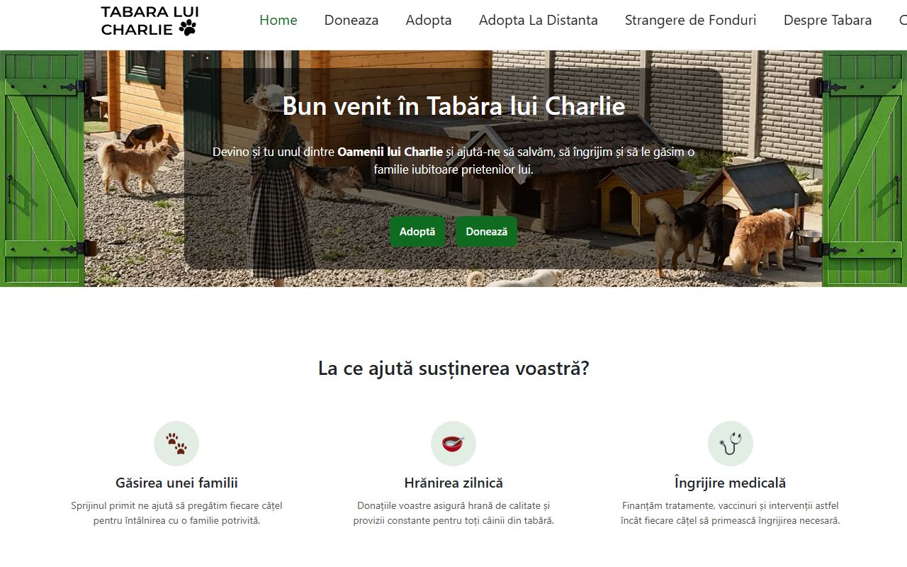 Previzualizare site Tabăra lui Charlie